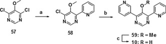 Scheme 6