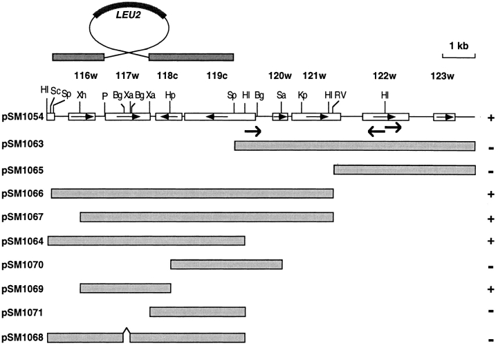 Figure 7