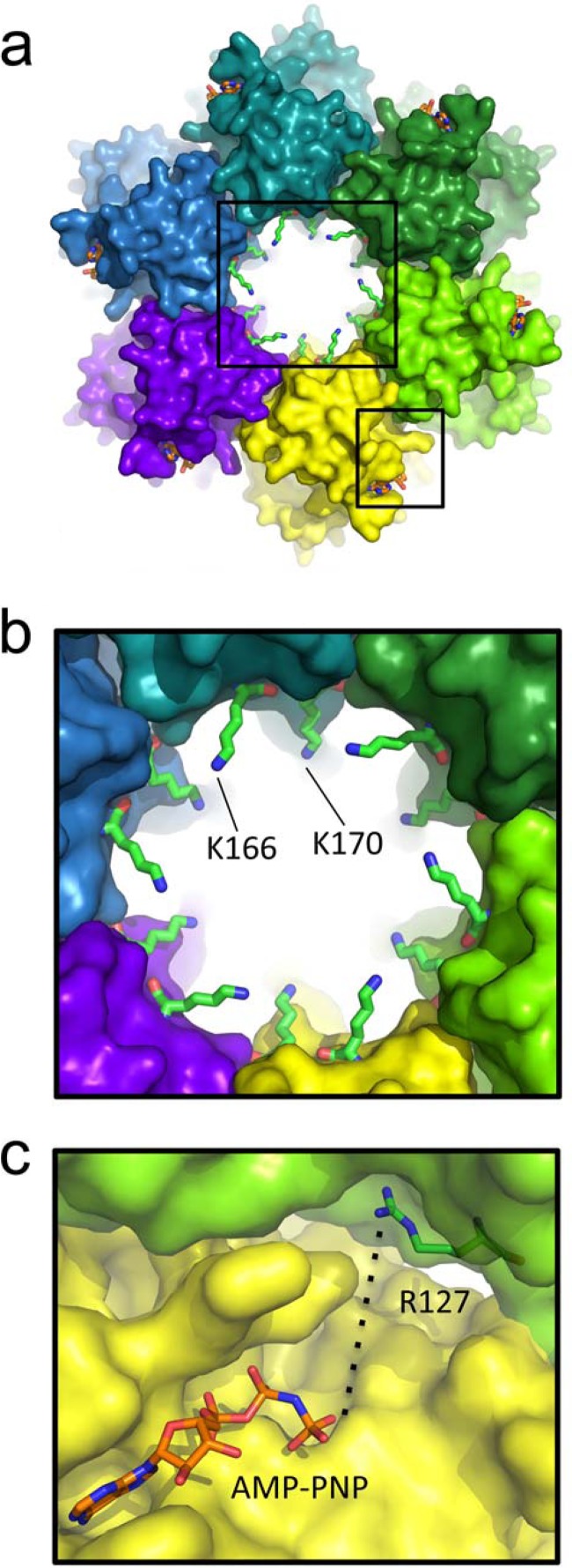 FIG 3