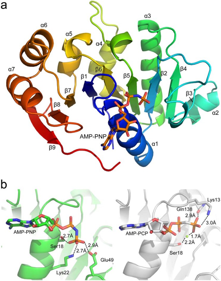 FIG 1