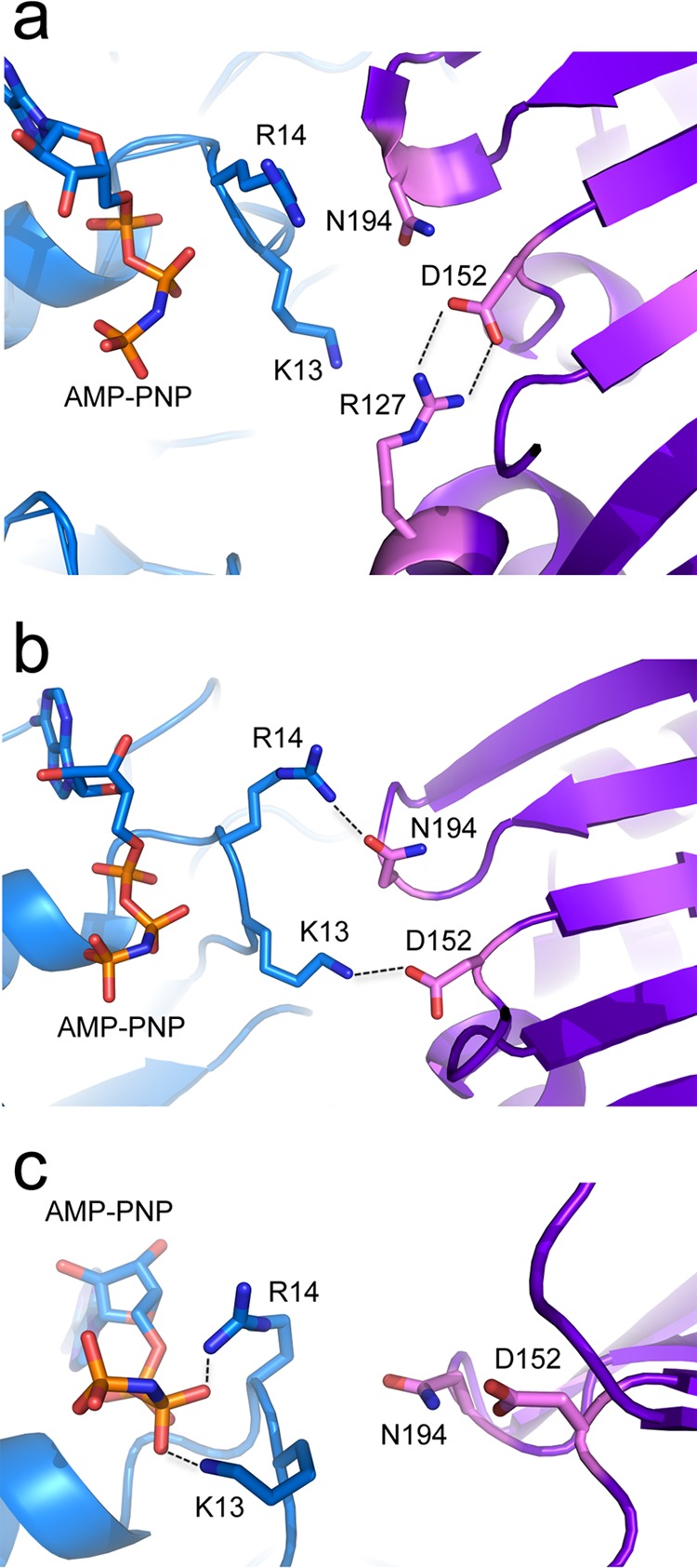 FIG 6