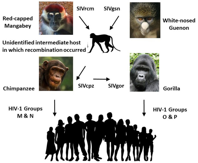 Figure 6. 