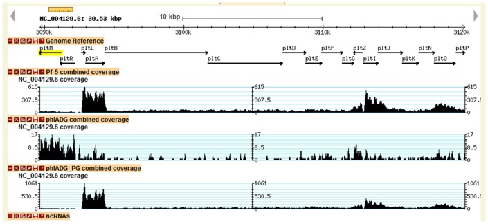 Figure 3—figure supplement 1.