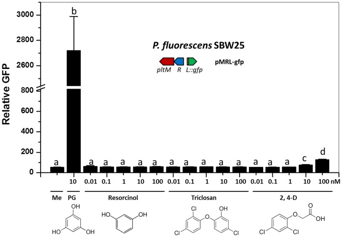 Figure 5—figure supplement 2.