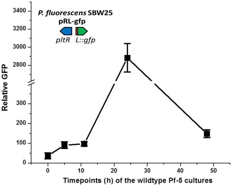 Figure 7—figure supplement 1.