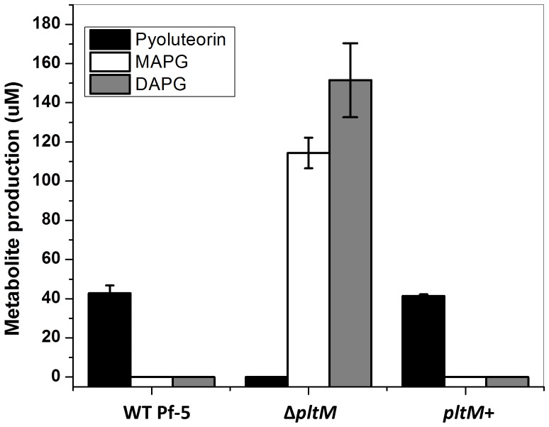 Figure 3—figure supplement 2.