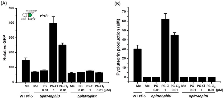 Figure 6—figure supplement 2.