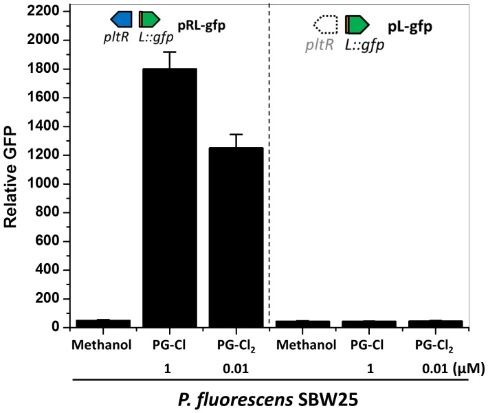 Figure 6—figure supplement 3.