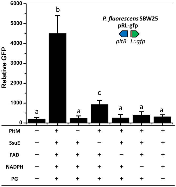 Figure 5.