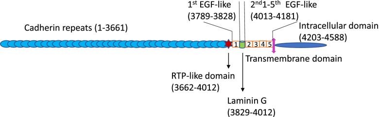 Fig. 1