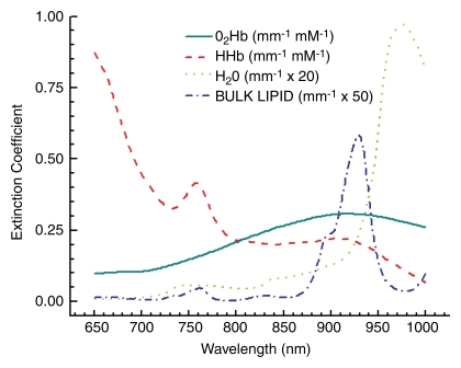 Figure 2: