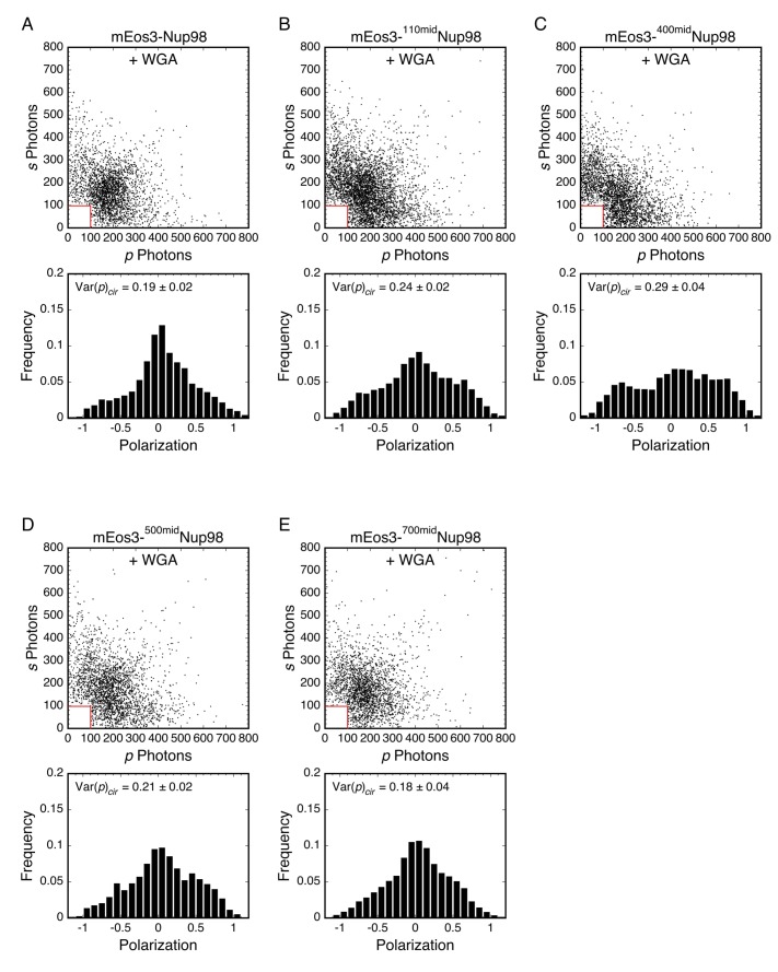 Figure 6—figure supplement 7.