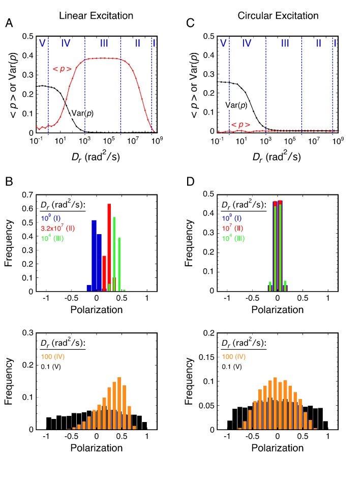 Figure 2—figure supplement 1.