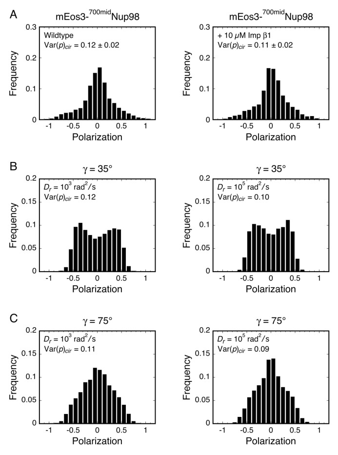 Figure 6—figure supplement 4.