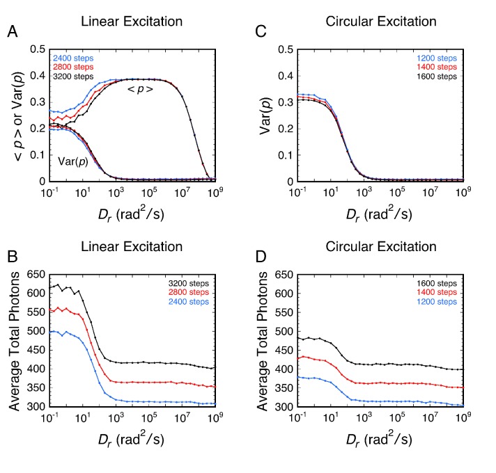 Figure 2—figure supplement 5.