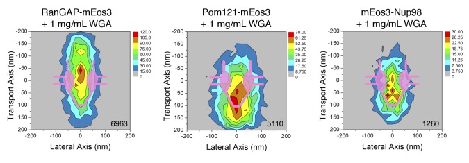 Figure 7—figure supplement 1.