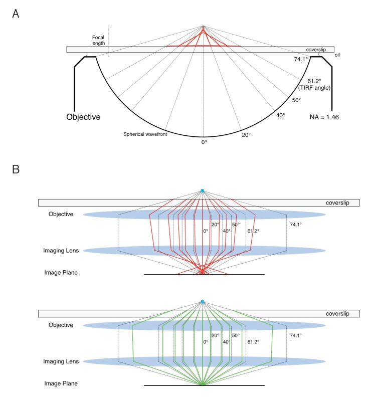 Appendix 1—figure 5.