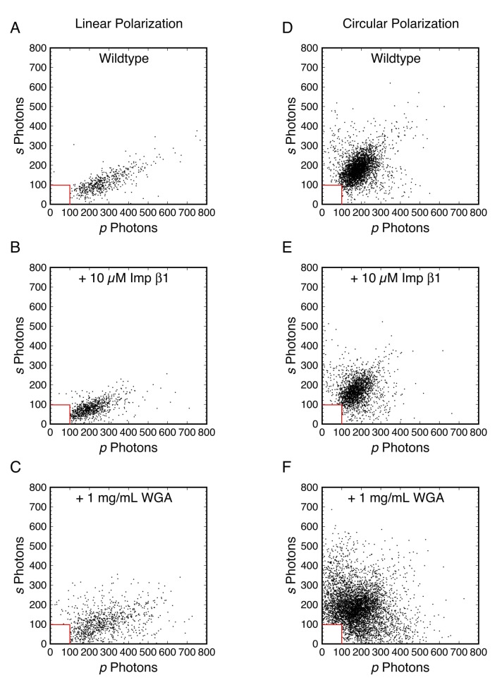 Figure 6—figure supplement 6.