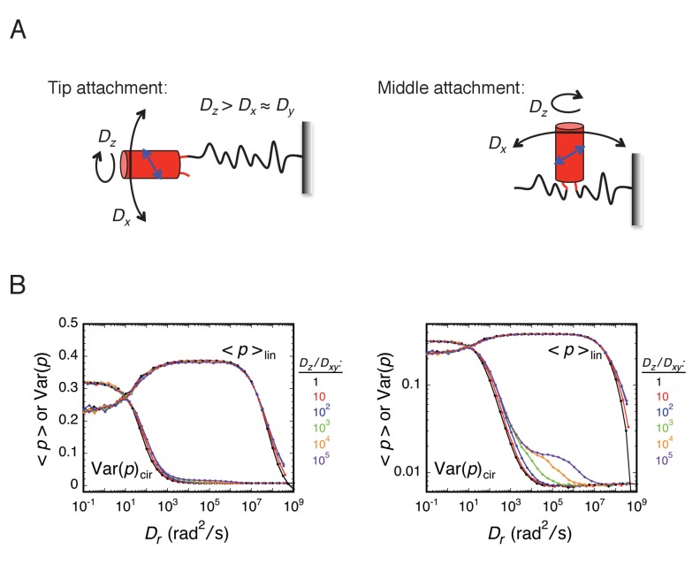 Appendix 1—figure 1.