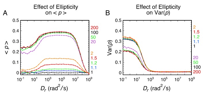 Figure 2—figure supplement 4.