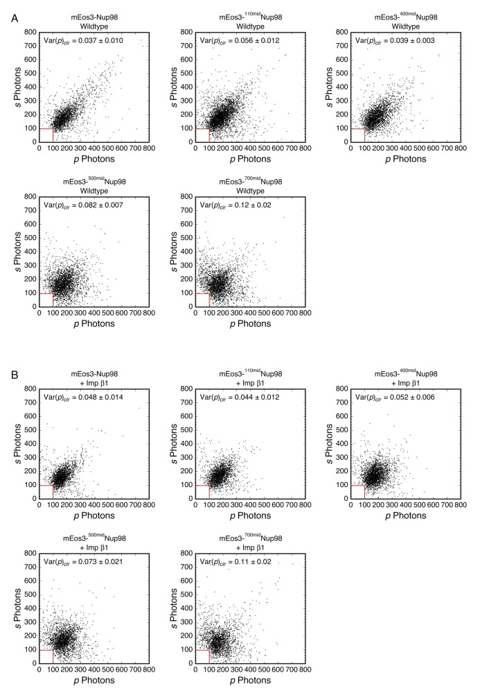 Figure 6—figure supplement 5.