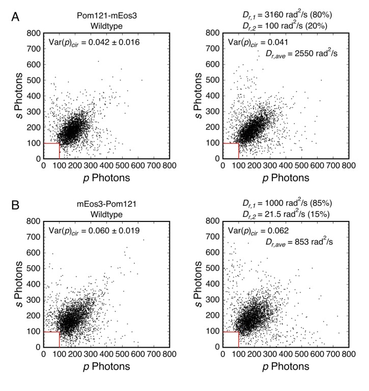 Figure 6—figure supplement 3.