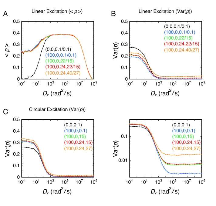 Figure 2—figure supplement 2.