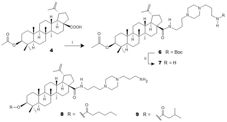 Scheme 6