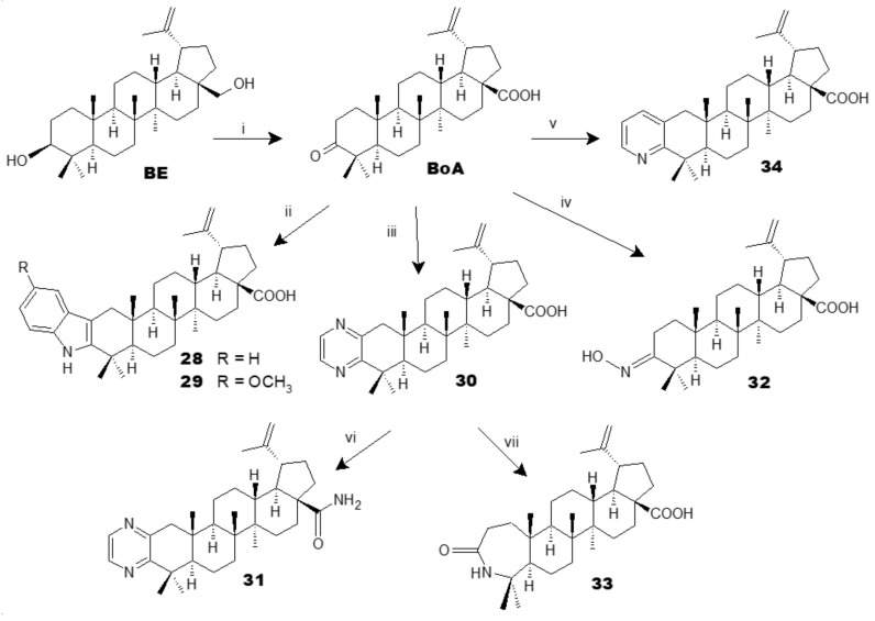 Scheme 8