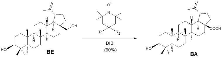 Scheme 5