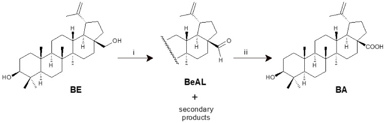 Scheme 3