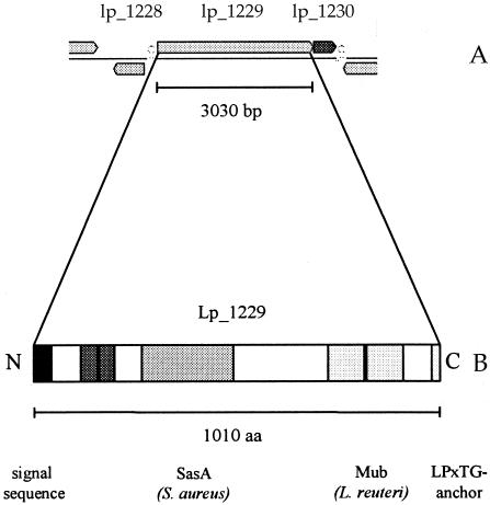 FIG. 3.