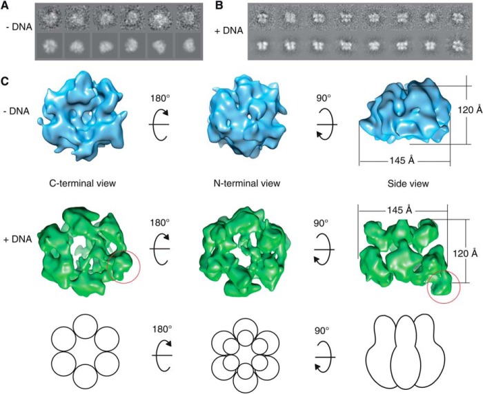 FIGURE 4.