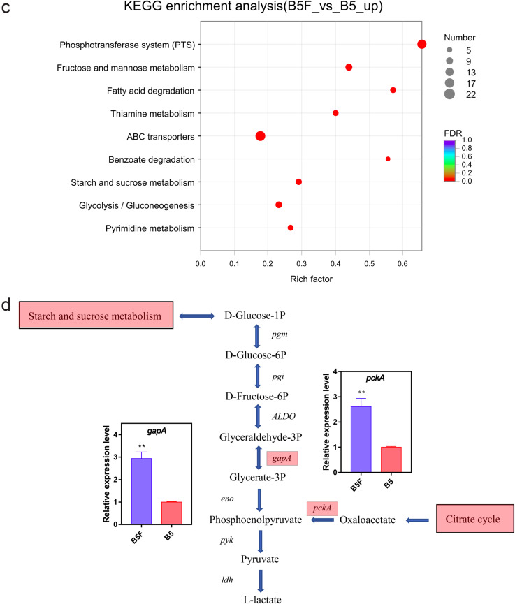 FIG 3