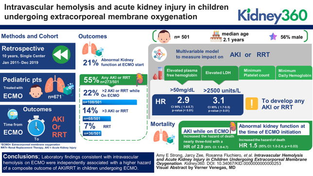 graphic file with name kidney360-4-1536-g001.jpg