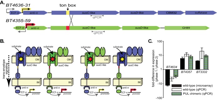 FIG 3 