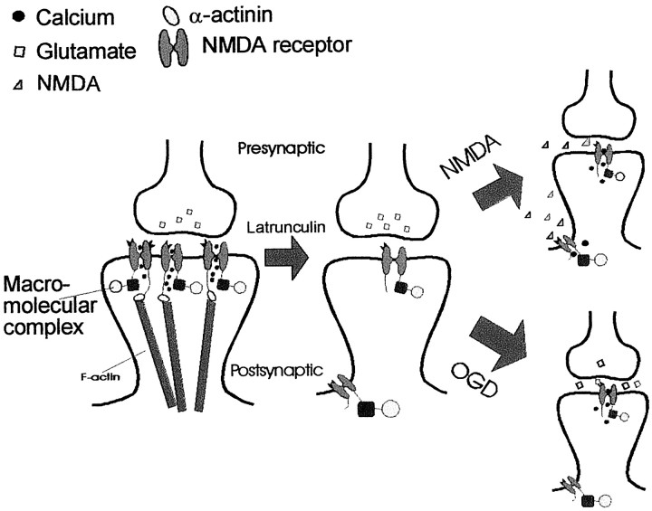 Fig. 8.