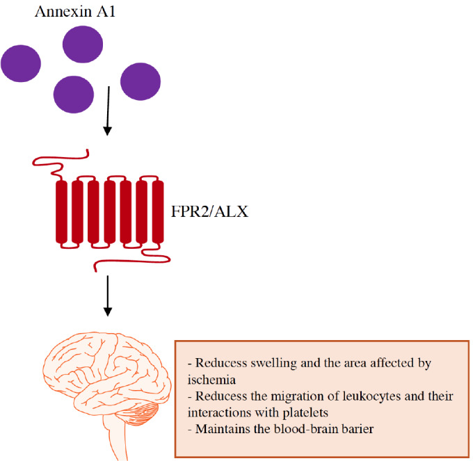 Fig. (7)