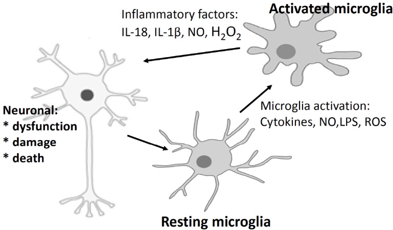 Fig. (2)