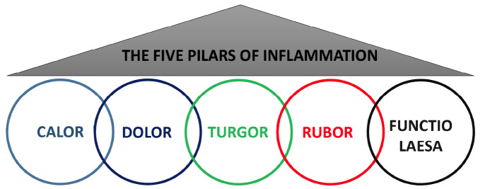 Fig. (1)