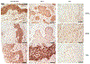Fig. 13.6