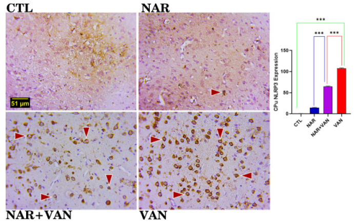 Figure 5b.