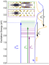 Fig. 2.