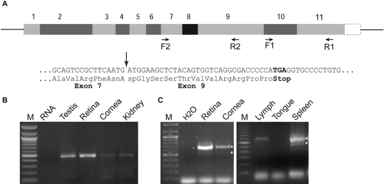 Figure 7.