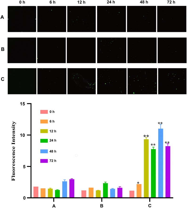 Fig. 2