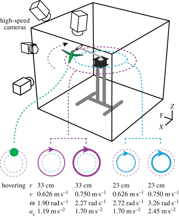 Figure 1.