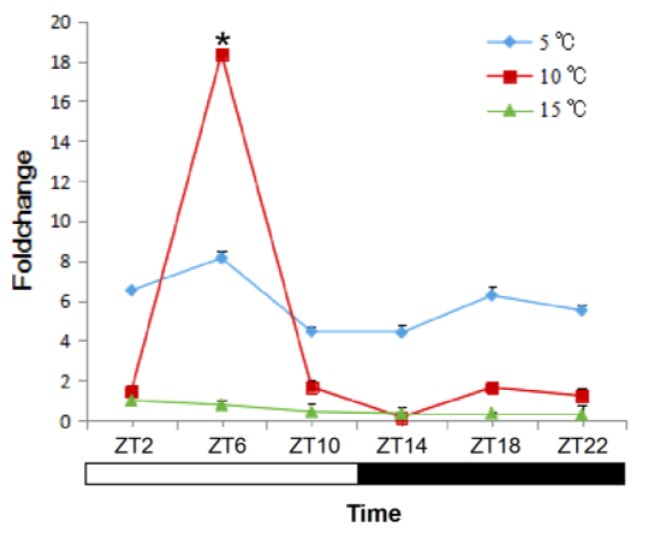 Figure 5