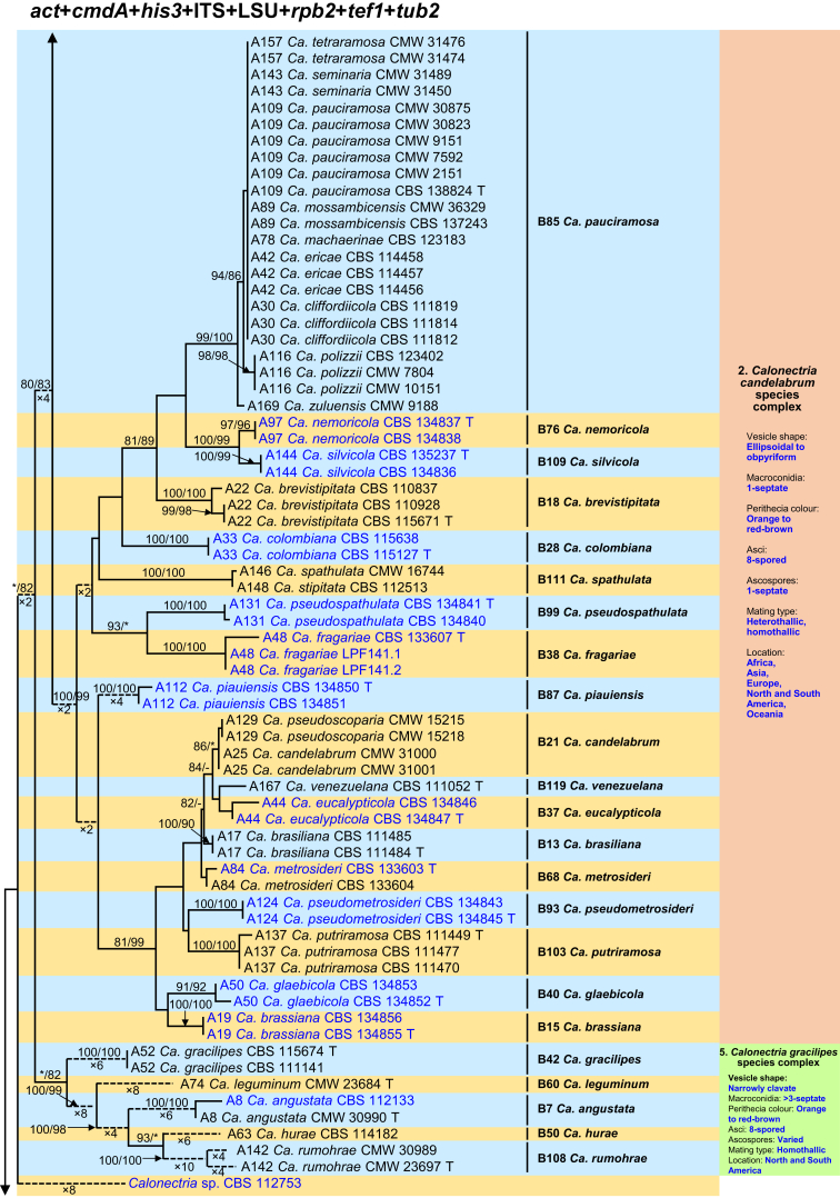 Fig. 1