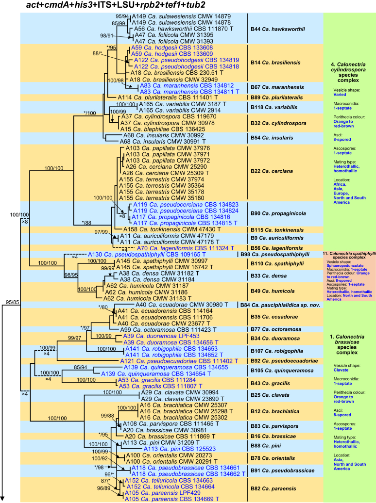 Fig. 1