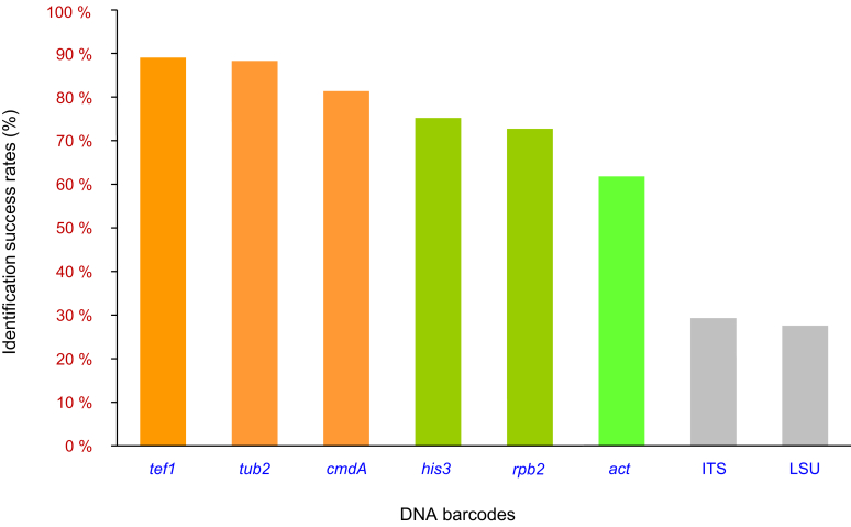 Fig. 4